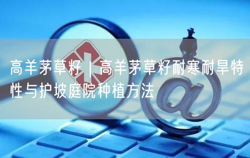 高羊茅草籽｜高羊茅草籽耐寒耐旱特性与护坡庭院种植方法